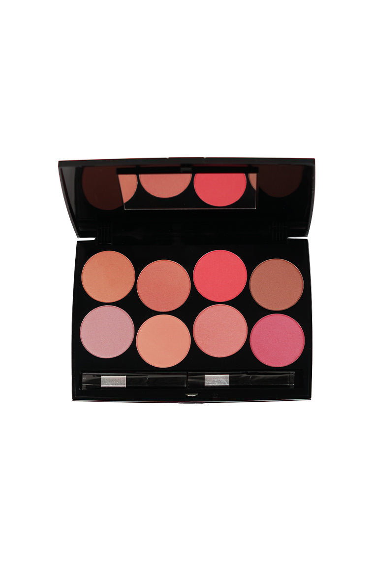 Professional Blush On 8 Color Kit