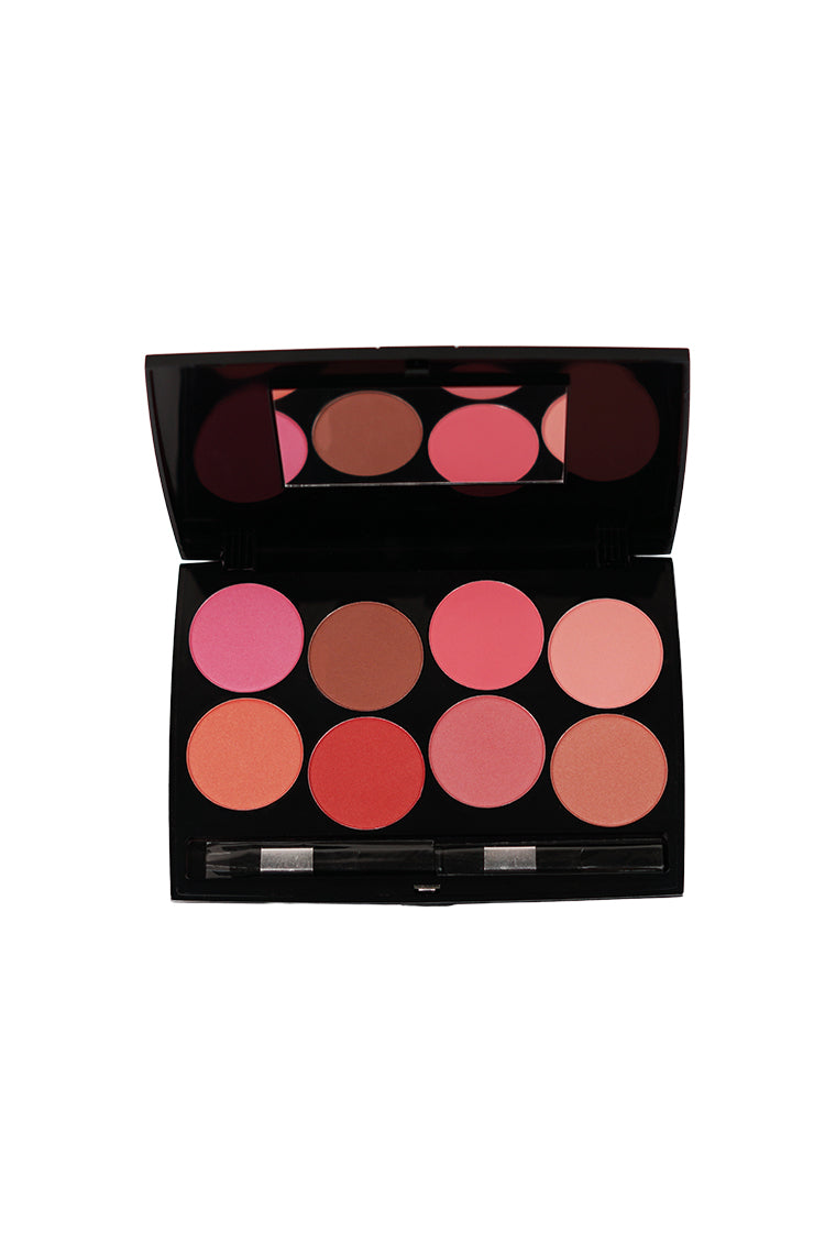 Professional Blush On 8 Color Kit