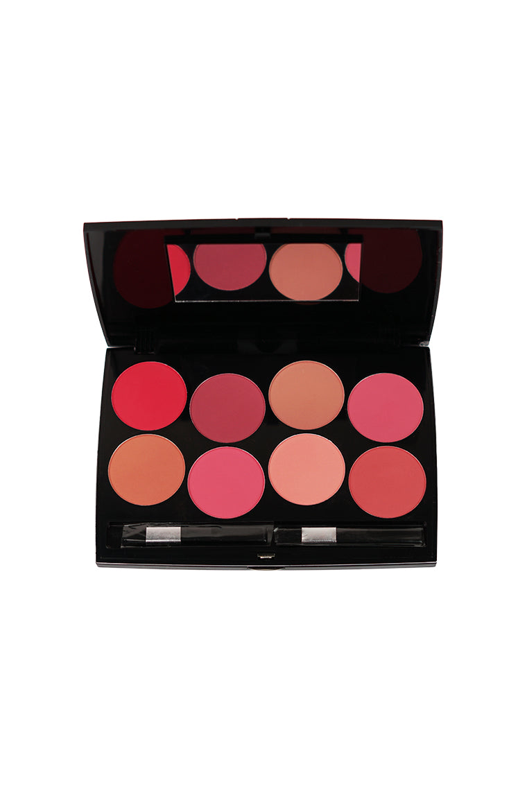 Professional Blush On 8 Color Kit